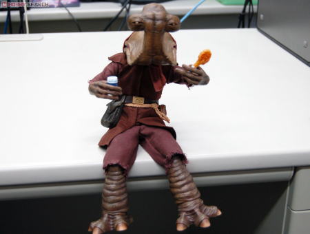 サイドショウネイドンランチ