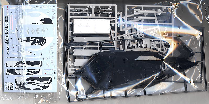 F-117 Nighthawk Special Marking (Plastic model) 中身1