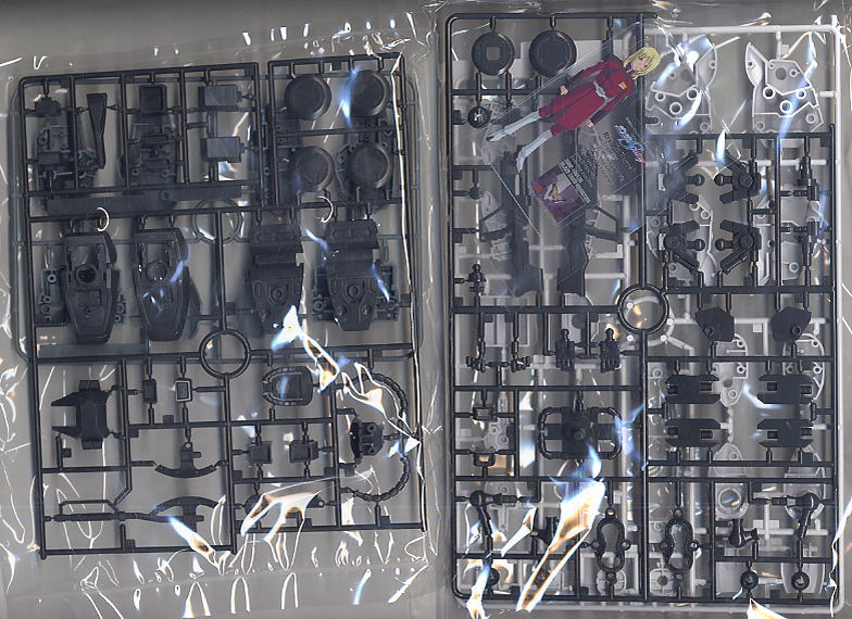 ブレイズザクファントム (レイ・ザ・バレル専用機) (1/100) ガンプラ