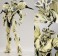 Guyver Gigantic (Completed) 商品画像2 Thumbnail