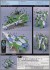 Legioss[Zeta] (Plastic model) 塗装2 Thumbnail