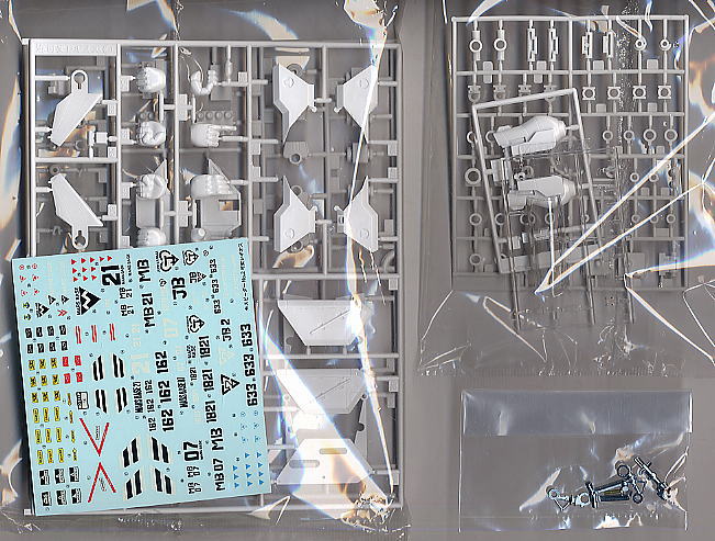 Legioss[Eta] (Plastic model) 中身1
