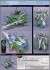 Legioss[Eta] (Plastic model) 塗装2 Thumbnail