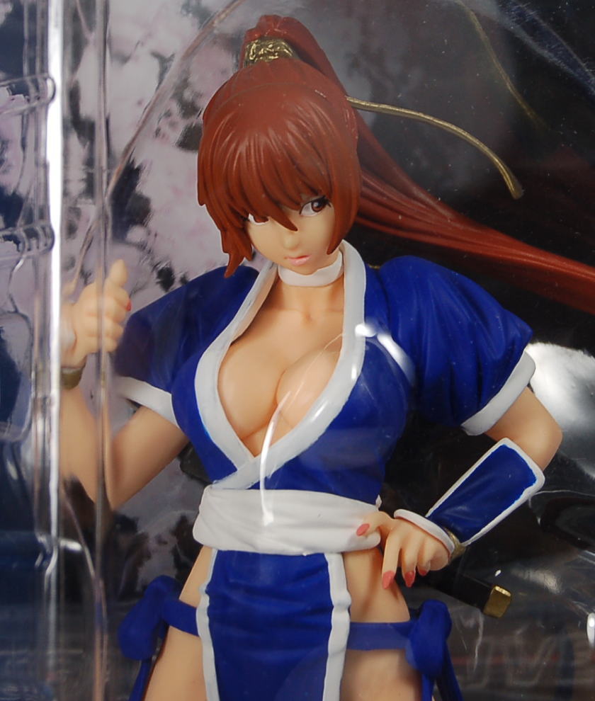 DEAD OR ALIVE フィギュア 霞 feat.山下しゅんや 2体セット Amazon | セガ DEAD OR ALIVE エクストラフィギュア 霞