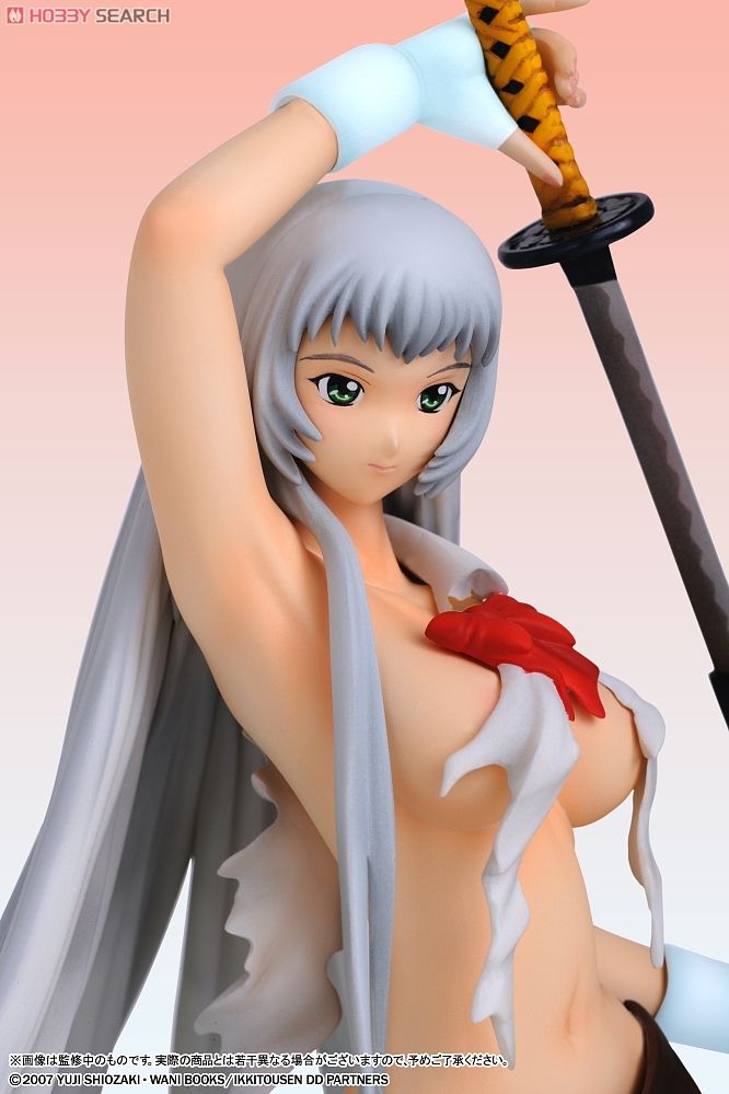 Choun Shiryu -Damage School Uniform Ver.- (PVC Figure) 商品画像6