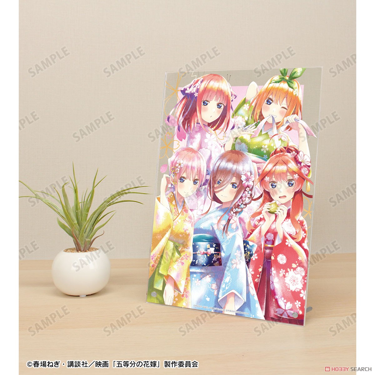 映画『五等分の花嫁』 描き下ろしイラスト 集合 桜和装ver. Ani-Art aqua label A4アクリルパネル (キャラクターグッズ) その他の画像1