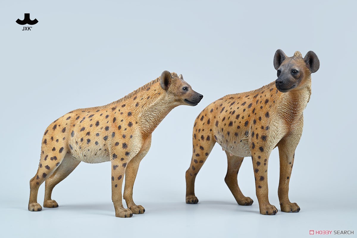 JXK Studio 1/6 Hyena A2 (Fashion Doll) - HobbySearch Fashion