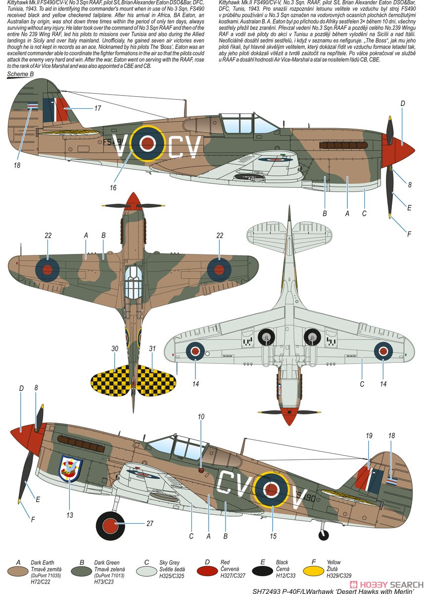 P-40F/L ウォーホーク `マーリンエンジン搭載ホーク` (プラモデル) 塗装2