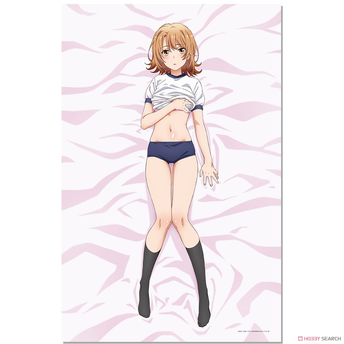 やはり俺の青春ラブコメはまちがっている。 続 ハイグレード やはり俺の青春ラブコメはまちがっている。 続 ハイグレード