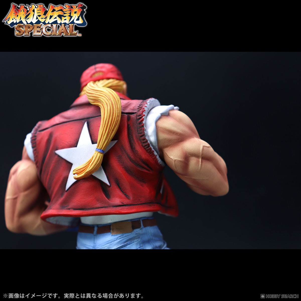 THE KING OF COLLECTORS`24 EX 「テリー・ボガード」(ダメージ