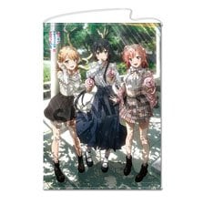 やはり俺の青春ラブコメはまちがっている。完 描き下ろしB1タペストリー 雪乃＆結衣＆いろは 公園デート ver. (キャラクターグッズ)