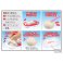 Kaitai Puzzle Lite Yukimi Daifuku Puzzle (Puzzle) その他の画像3 Thumbnail