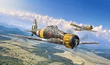 Italian Air Force Macchi Mc.200 (w/Japanese Manual) (Plastic model)