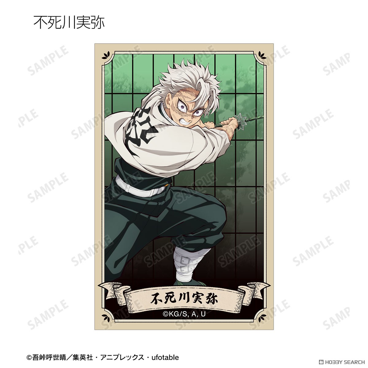 Demon Slayer: Kimetsu no Yaiba Trading Illust Card Ver. A (Set of 14) (Anime Toy) 商品画像9