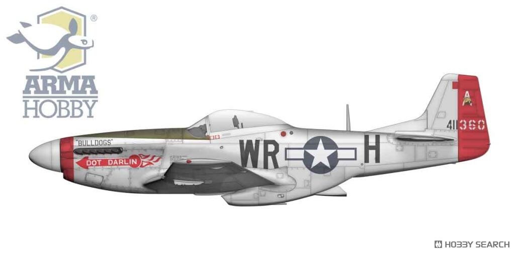 P-51K Mustang (Plastic model) 塗装2