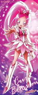 ハートキャッチプリキュア！ 等身大タペストリー ブロッサム 