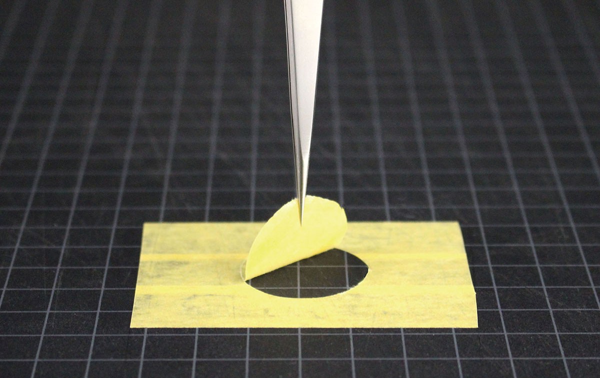 Super Punch Compass Advance Titanium Blade Special (Circle Cutter) (Hobby Tool) その他の画像3