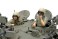 イスラエル軍戦車 ティラン5 (プラモデル) 商品画像6 サムネイル
