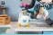 Cuties Series Arknights: Endfield Chen Qianyu (Figure) その他の画像3 Thumbnail