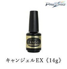 キャンジェル EX (塗料)