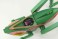 タイムドタバッタン (プラモデル) 商品画像4 サムネイル