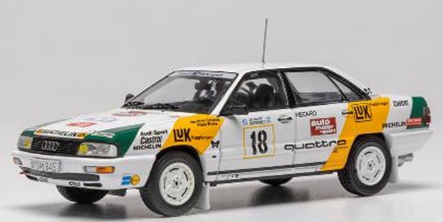 Audi 200 Quattro 1989 Acropolis Rally #18 A.Schwarz / K.Wicha