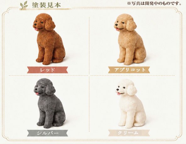 トイプードル おすわり 5個セット プラモデル｜ホビーサーチ