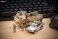 [AS006]戦闘車両情景セット (UCPグレー) (ミニカー) 商品画像6 サムネイル