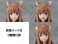 KADOKAWA PLASTIC MODEL SERIES 「狼と香辛料 MERCHANT MEETS THE WISE WOLF」 ホロ (プラモデル) 商品画像9 サムネイル