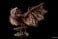 Rathalos (Plastic model) 商品画像2 Thumbnail