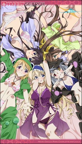 IS 〈インフィニット・ストラトス〉 IS 〈インフィニット・ストラトス〉 ヒロインビッグタオル (キャラクターグッズ) 商品画像1