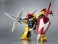 ROBOT魂 < SIDE MASHIN > 邪虎丸 (完成品) 商品画像2 サムネイル