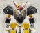 ROBOT魂 < SIDE MASHIN > 邪虎丸 (完成品) 商品画像8 サムネイル