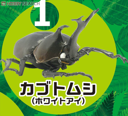 昆虫ハンター カブトムシ&クワガタ 10個セット (食玩) 商品画像2
