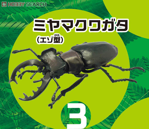 昆虫ハンター カブトムシ&クワガタ 10個セット (食玩) 商品画像4