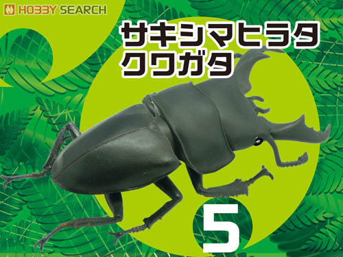 Insect Hunter Beetle & Stag Beetle 10 pieces (Shokugan) Item picture6