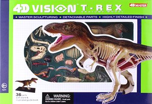 アオシマ 4D VISION 動物解剖 No.22 T-REX 解剖モデル アオシマ 立体パズル 4D VISION 動物解剖 No22 T-REX 解剖モデル