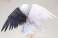 Panis Angelicus (PVC Figure) 商品画像10 Thumbnail