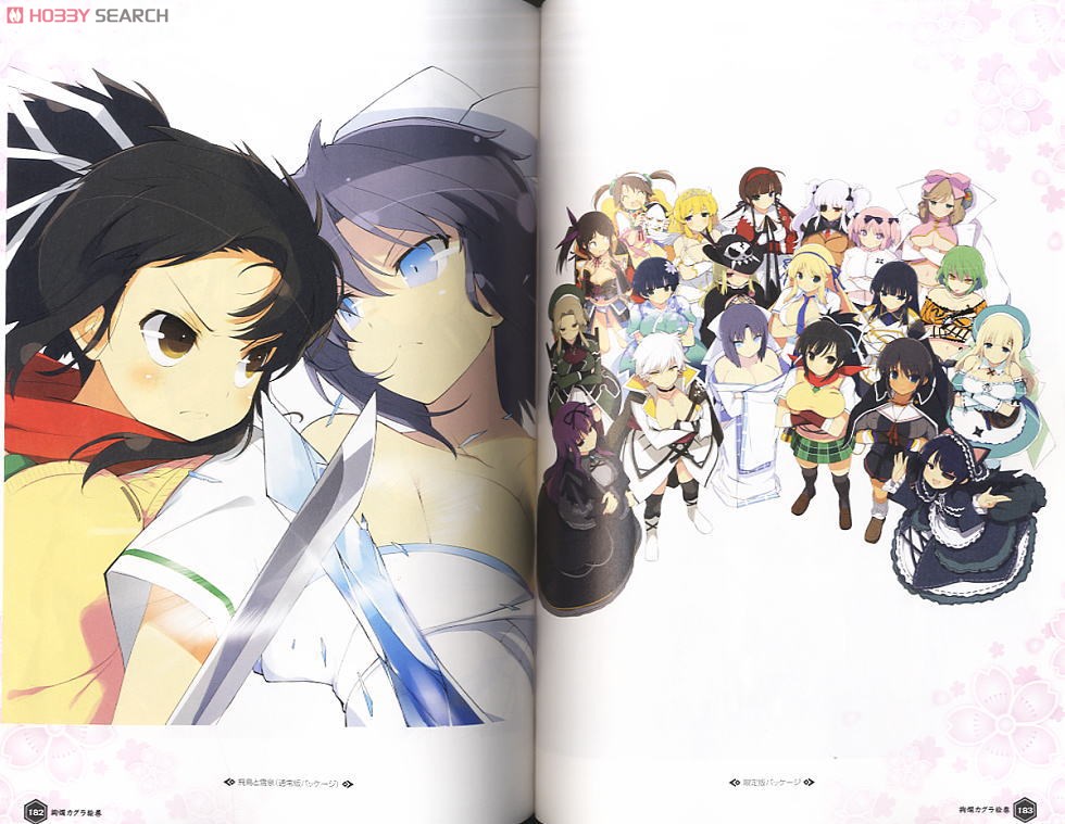 閃乱カグラ Burst Re:Newal 公式イラスト集 Amazon.co.jp: 閃乱カグラ