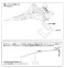 U.S. AIR FORCE YF-15A Prototype first unit (Plastic model) 設計図4 Thumbnail