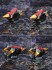 D-Style Genesics Gaogaigar (Plastic model) 商品画像17 Modal Thumbnail