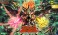 D-Style Genesics Gaogaigar (Plastic model) パッケージ1 Thumbnail