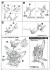 D-Style Genesics Gaogaigar (Plastic model) 設計図10 Modal Thumbnail