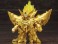 D-Style Genesics Gaogaigar Golden God of Destruction (Plastic model) 商品画像1 Thumbnail