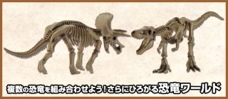 Re-ment Miniatures Pose Skeleton Dinosaur Tyrannosaurus F/S w/Tracking# Rement 