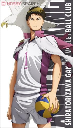 ハイキュー 牛島若利 サインボール ハイキュー!! セカンドシーズン