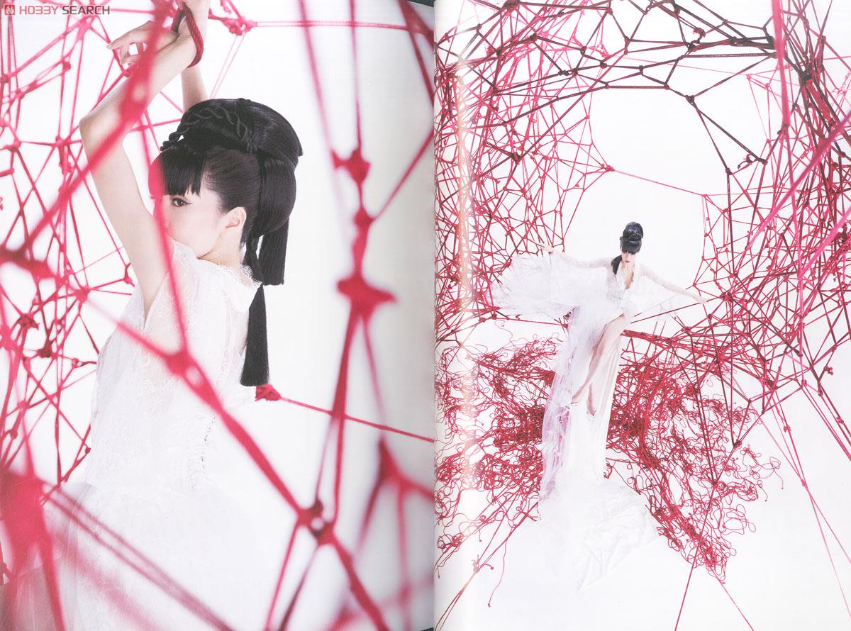 Red: Kinoko Hajime Rope Art Book (Art Book) Item picture2