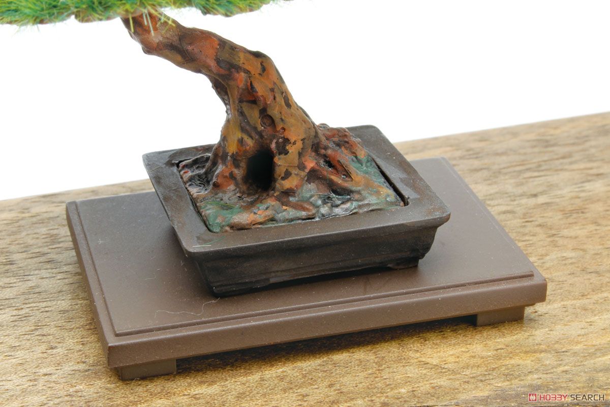 その他 BANDAI BONSAI MODEL KIT b2864a36-274e-4a23-81cc-