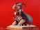 Selvaria Bles -X`mas Party- (PVC Figure) 商品画像1 Thumbnail