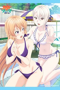 食戟のソーマ 餐ノ皿 B2タペストリー (キャラクターグッズ)